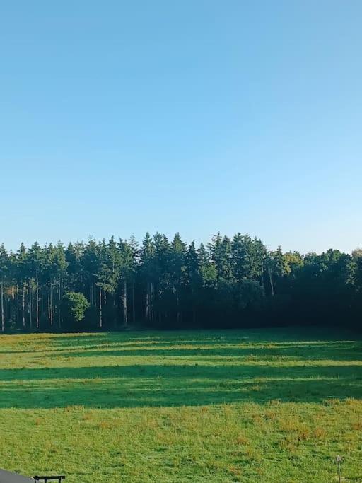 Gemuetliches Appartement Im Kottenforst Naehe Bonn Meckenheim  Dış mekan fotoğraf